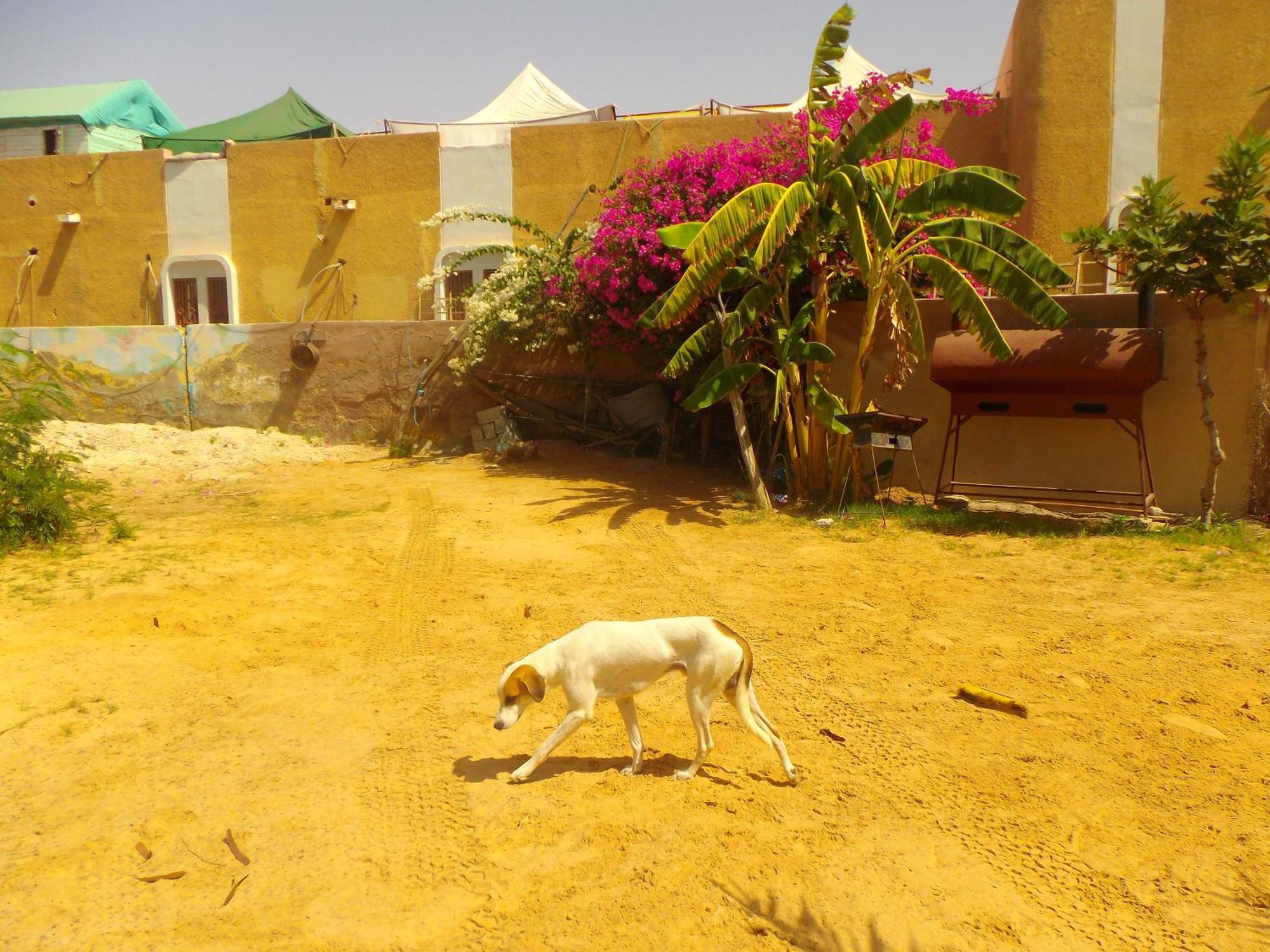 Auberge Triskell Nouakchott Exterior photo